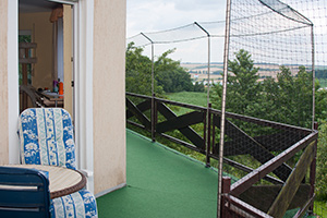 gesicherter Balkon einer Katzenwohnung